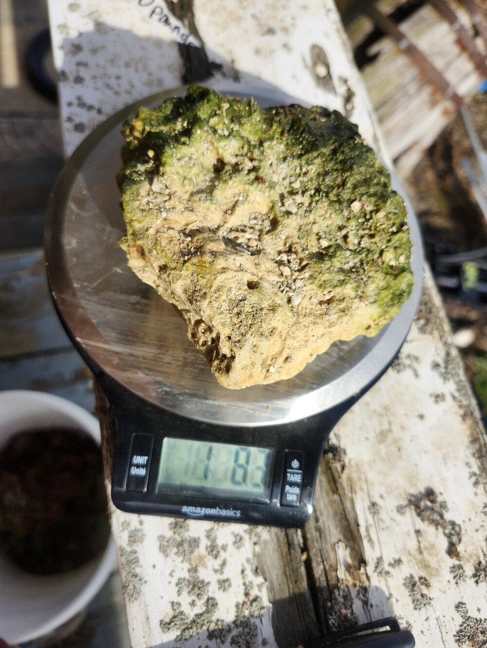 Fiji Dry Base Rock for Saltwater Aquarium Setup Natural Reef Rock Aquascaping